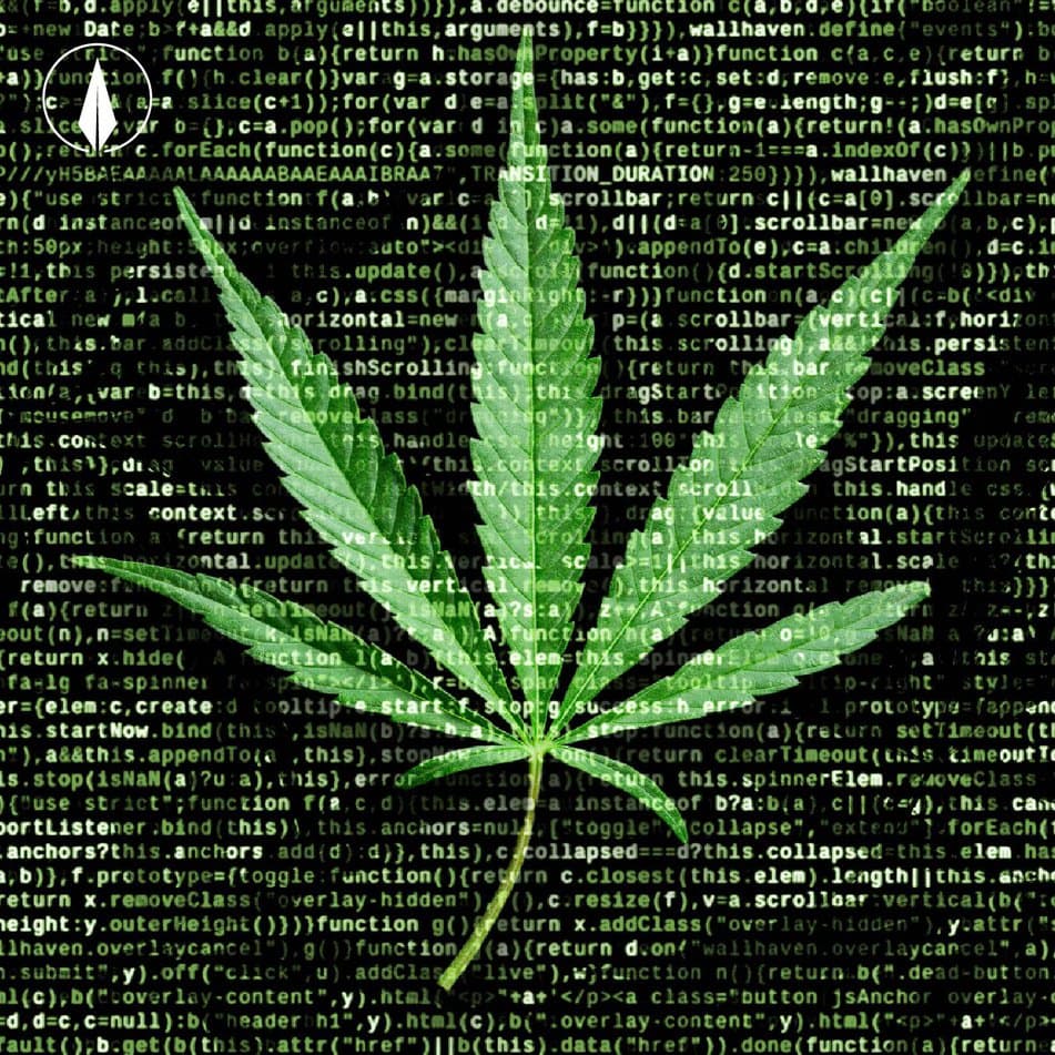 Argentina será sede de la primera edición del Global CannaForum