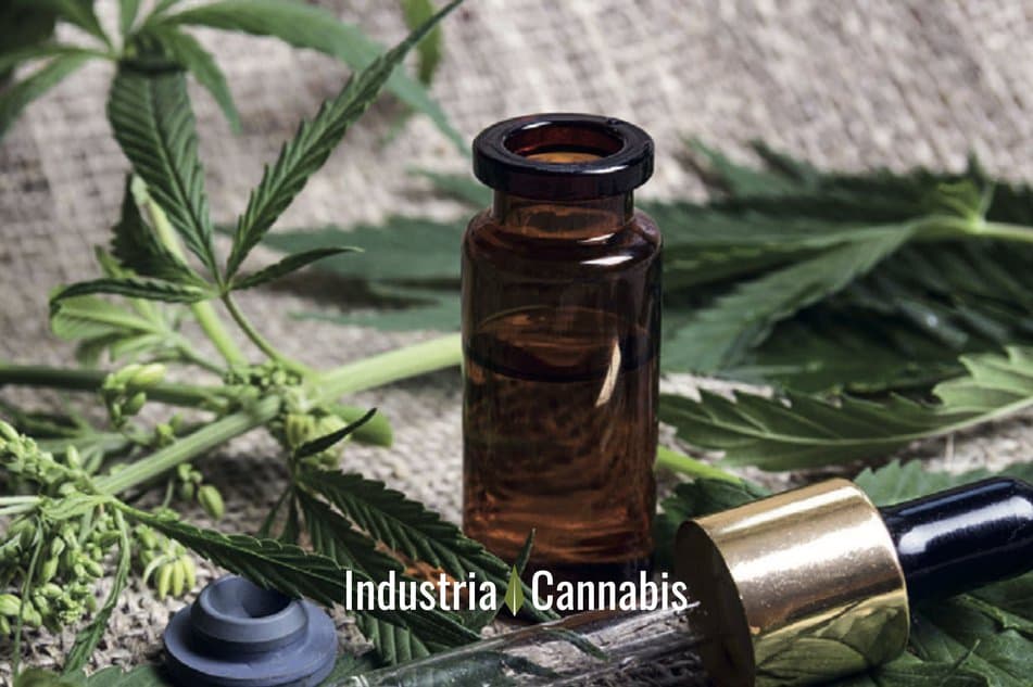 La Justicia frena restricciones al acceso al cannabis medicinal