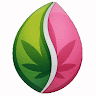 Del Plata Seeds